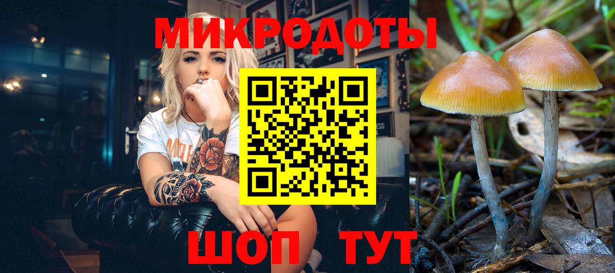 Псилоцибиновые грибы Cubensis Ростов Великий