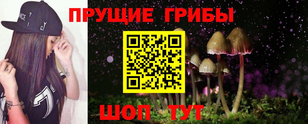 купить наркоту  Вход с VPN  Ростов Великий  Галлюциногенные грибы MAGIC MUSHROOMS 